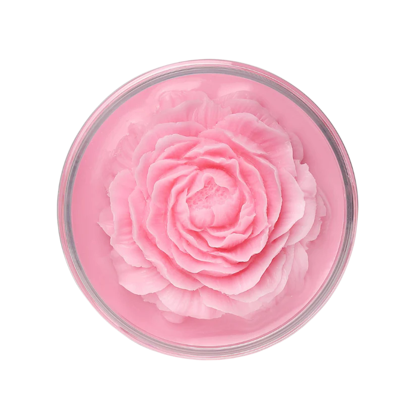 NIKK MOLE Brush and Sponge Cleaning Soap